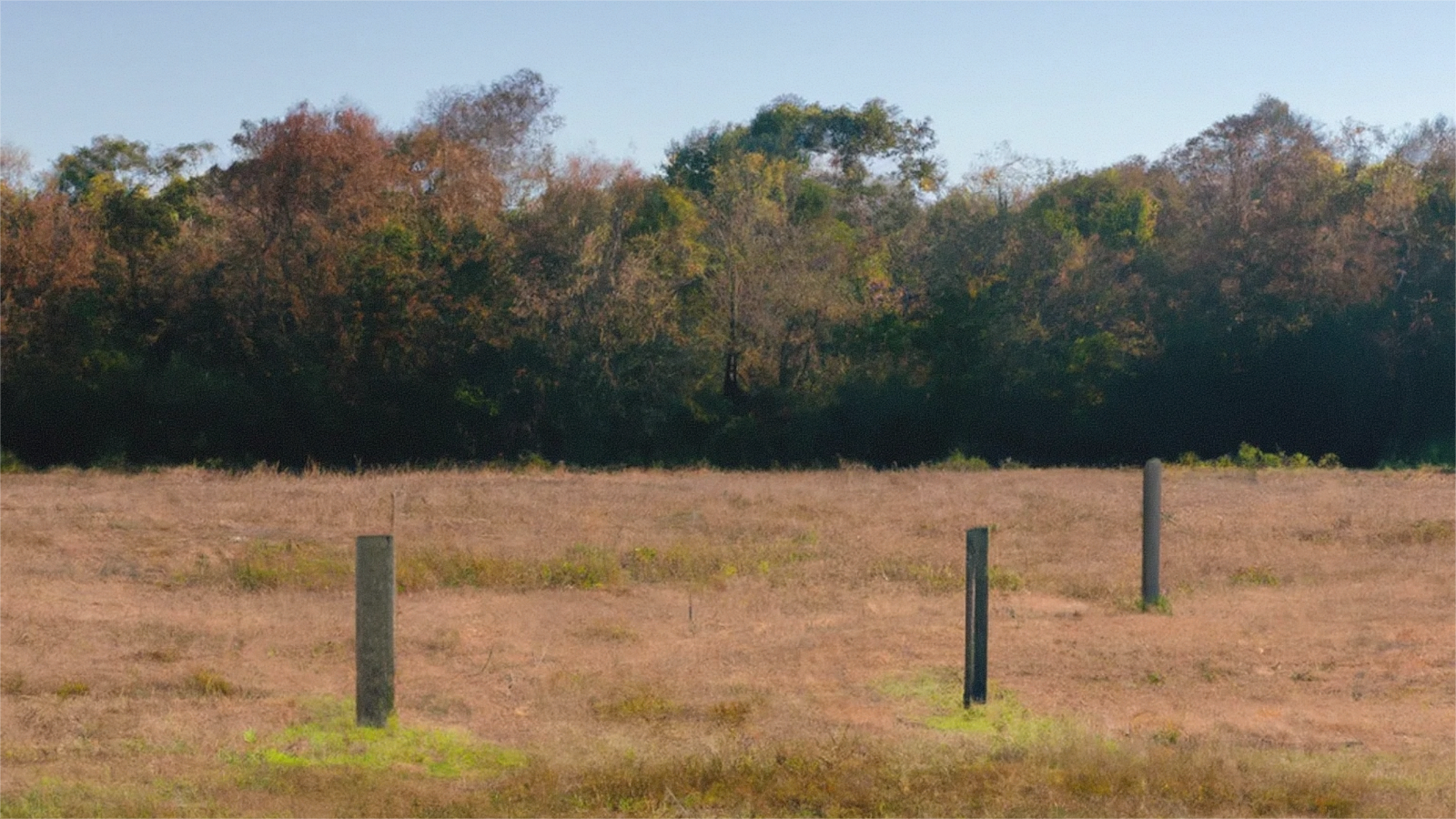 Open Tennessee land access road near Bledsoe County
